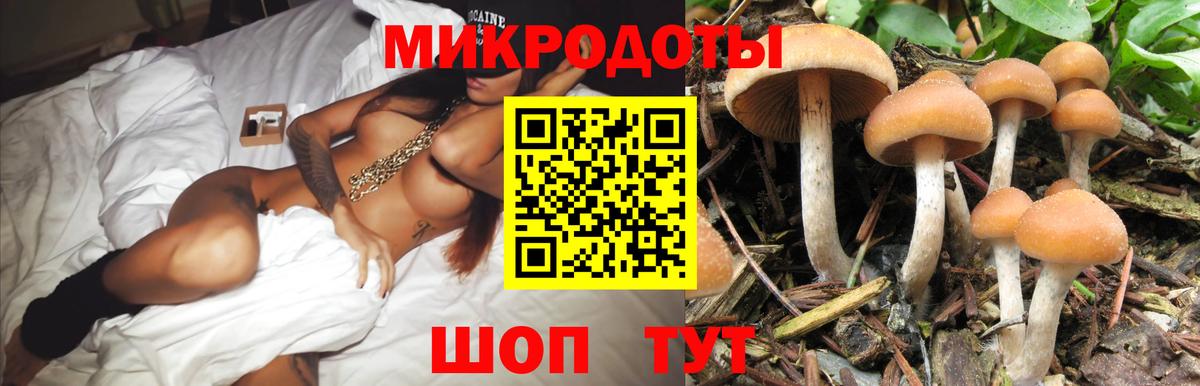 Галлюциногенные грибы GOLDEN TEACHER  Вход с VPN  Красноуфимск 
